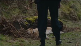 All Creatures Greatand Small - Season 05 Episode 02